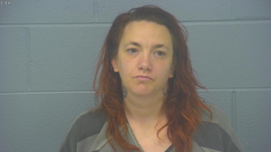 Arrest photo of BREANNA COLJOHN