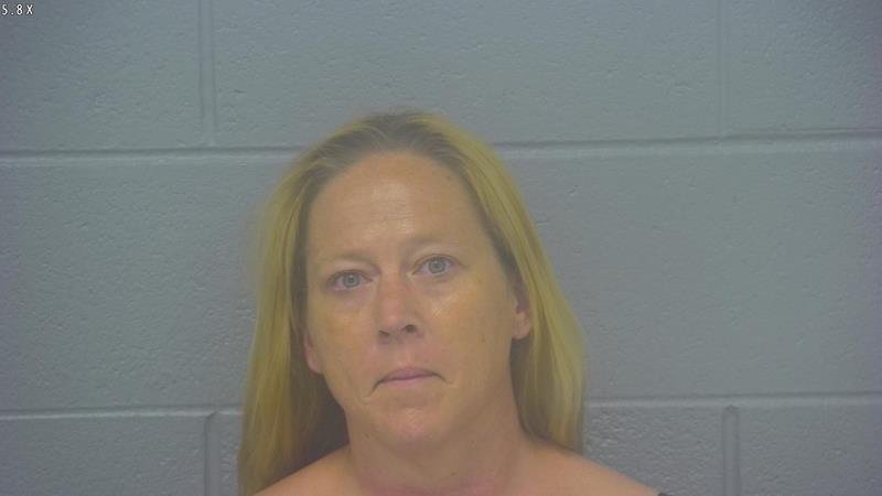 Arrest Photo of BREANNA DAVIDSON, arrested on 6/25/2025