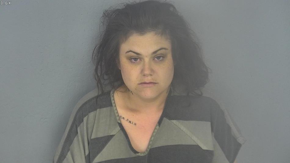 Arrest photo of BREANNA JOHNSTON