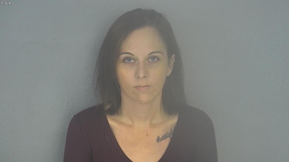 Arrest photo of BREANNA LENTEN