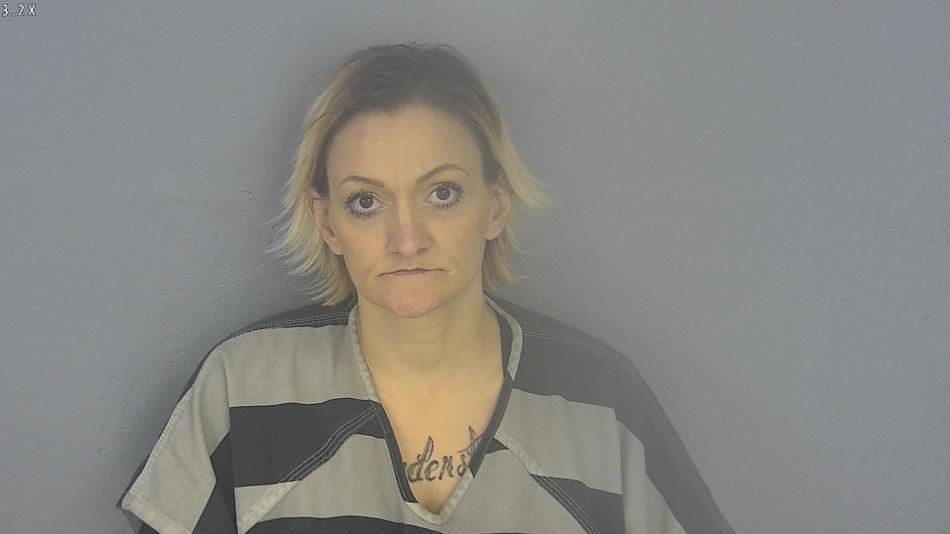 Arrest photo of BREANNA REED