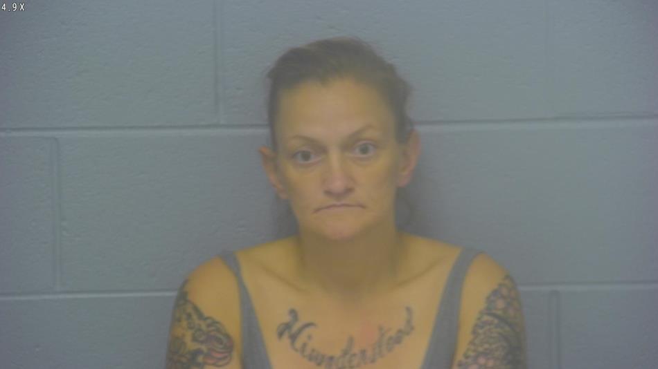 Arrest Photo of BREANNA REED, arrested on 8/28/2025
