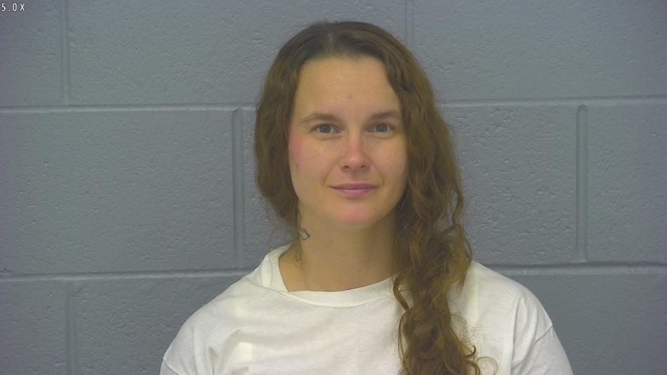 Arrest photo of BREANNE LARSON