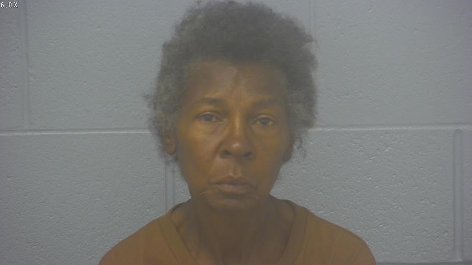 Arrest photo of BRENDA TAYLOR