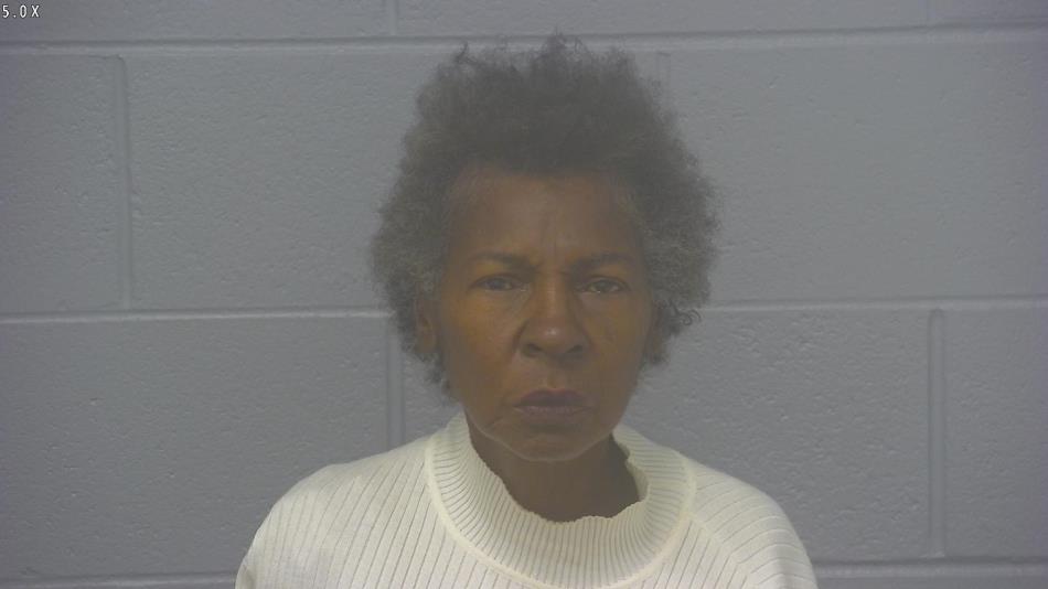 Arrest photo of BRENDA TAYLOR