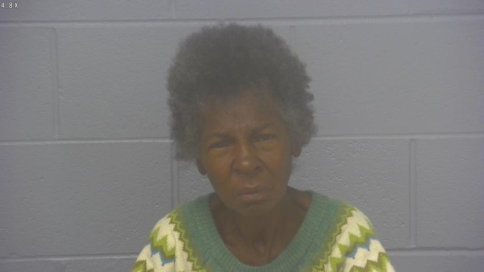 Arrest photo of BRENDA TAYLOR