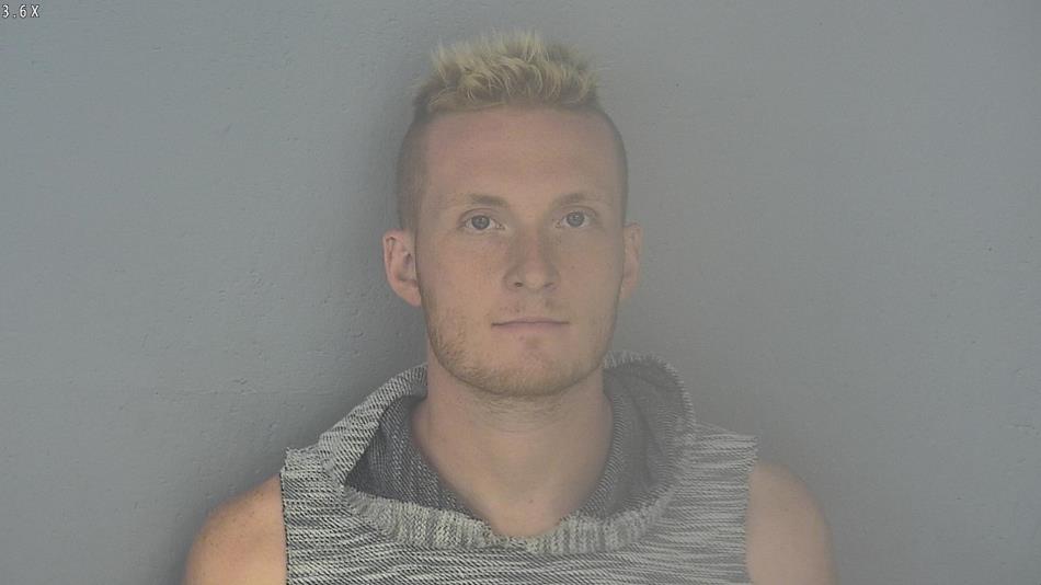 Arrest photo of BRENDON ANDERSON