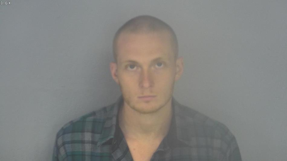 Arrest photo of BRENDON ANDERSON