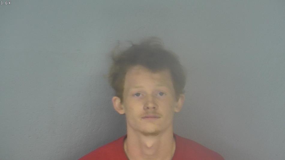 Arrest photo of BRENDON COX