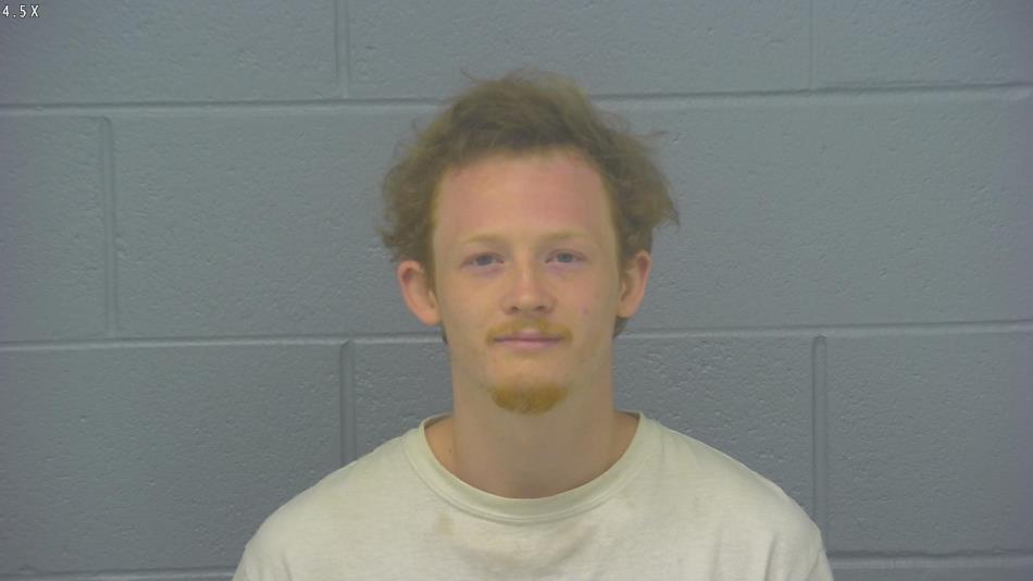 Arrest photo of BRENDON COX