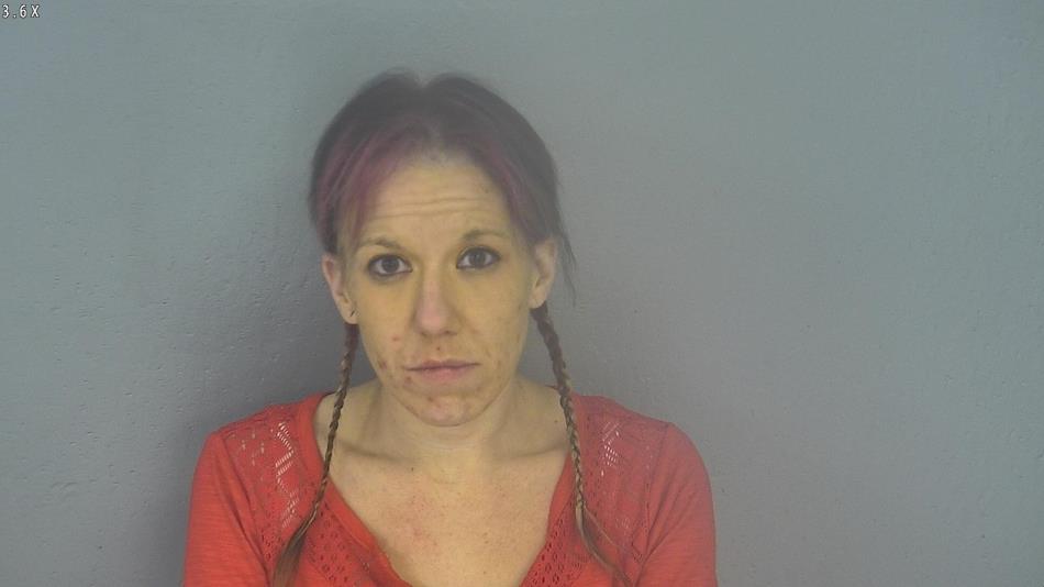 Arrest photo of BRENNA DICK