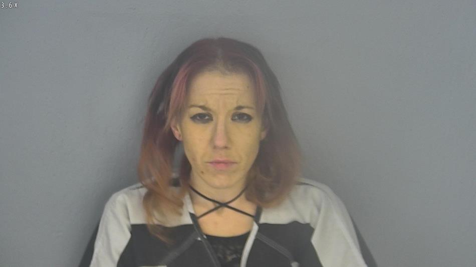 Arrest photo of BRENNA DICK