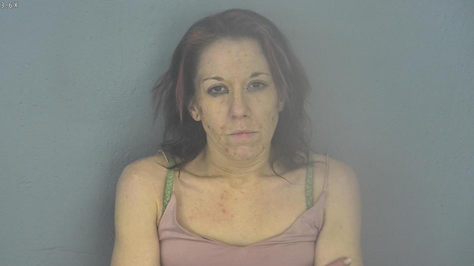 Arrest photo of BRENNA DICK