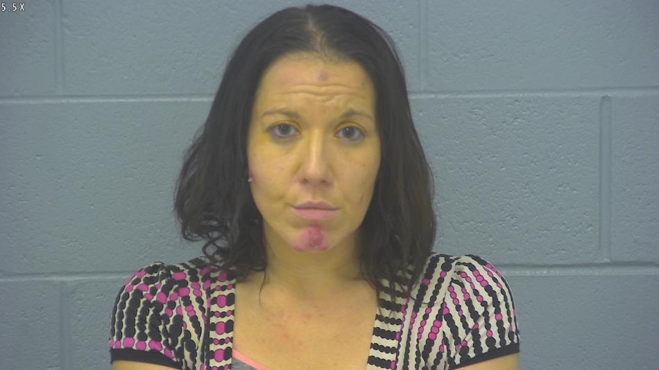 Arrest photo of BRENNA DICK