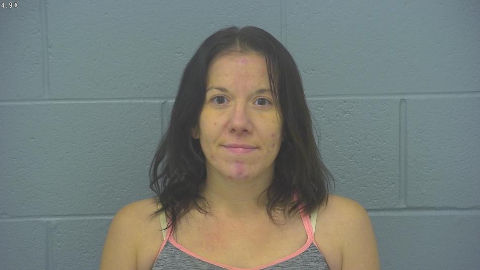 Arrest photo of BRENNA DICK