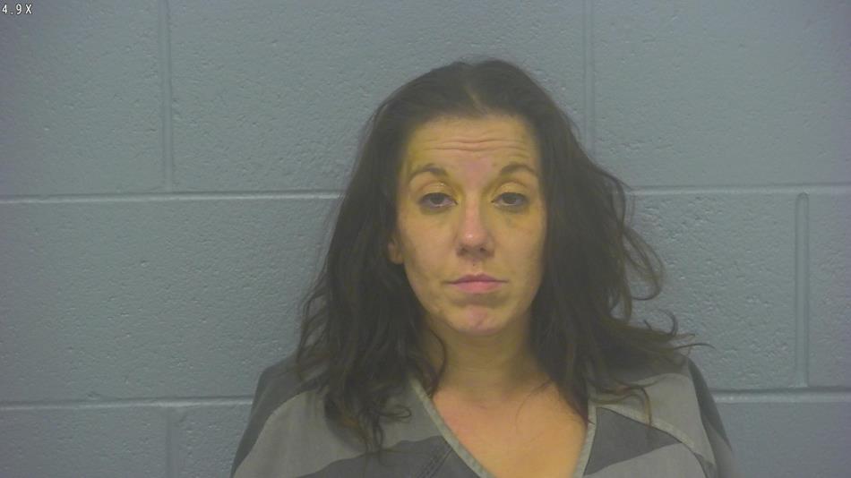 Arrest photo of BRENNA DICK