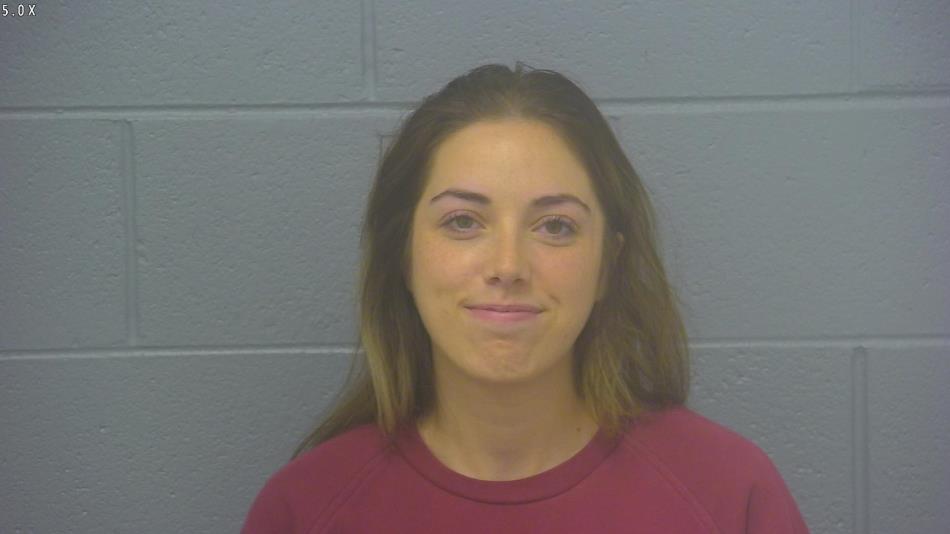 Arrest photo of BRENNA HULEM