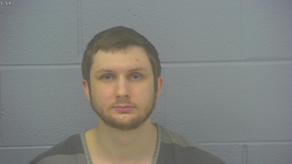 Arrest photo of BRENNAN LYNCH