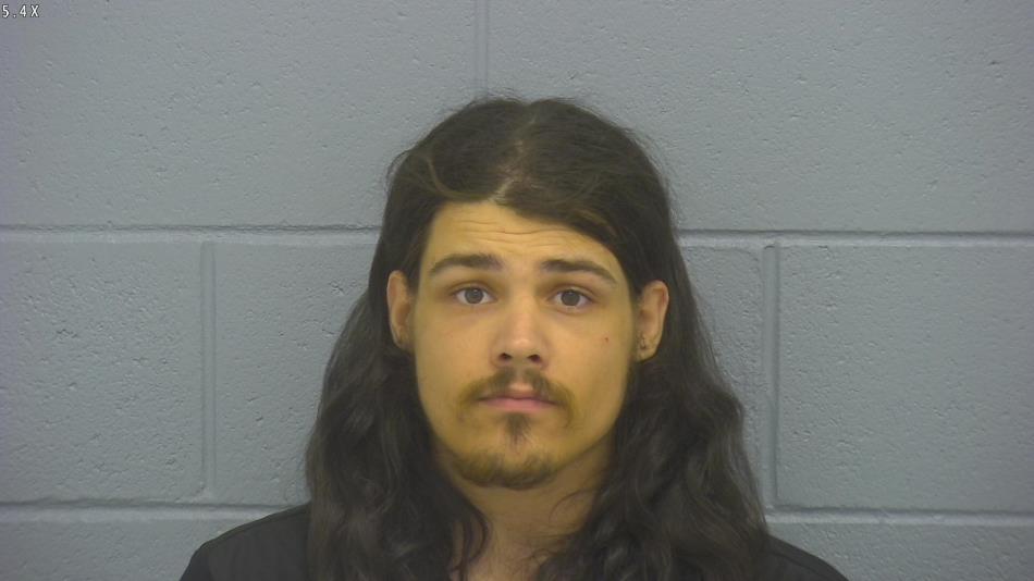 Arrest photo of BRENSON SARTIN