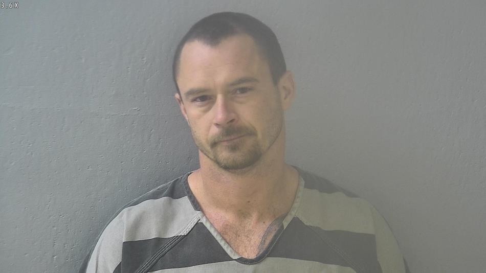 Arrest photo of BRENT HAMILTON