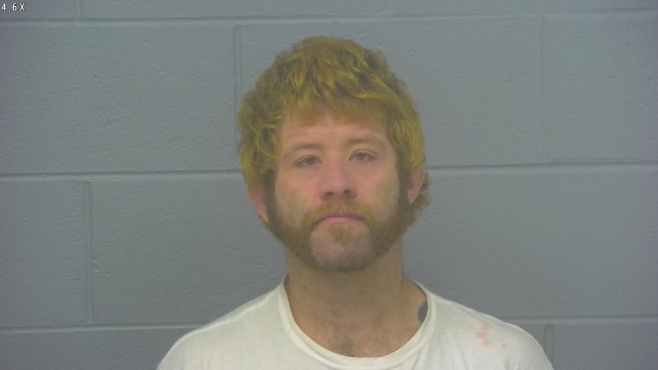 Arrest photo of BRENT MOWERY