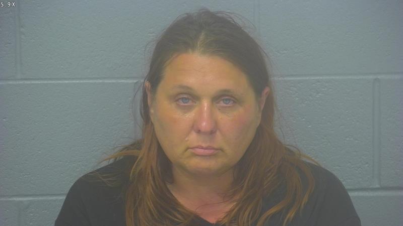 Arrest photo of BRETNEY SAPP