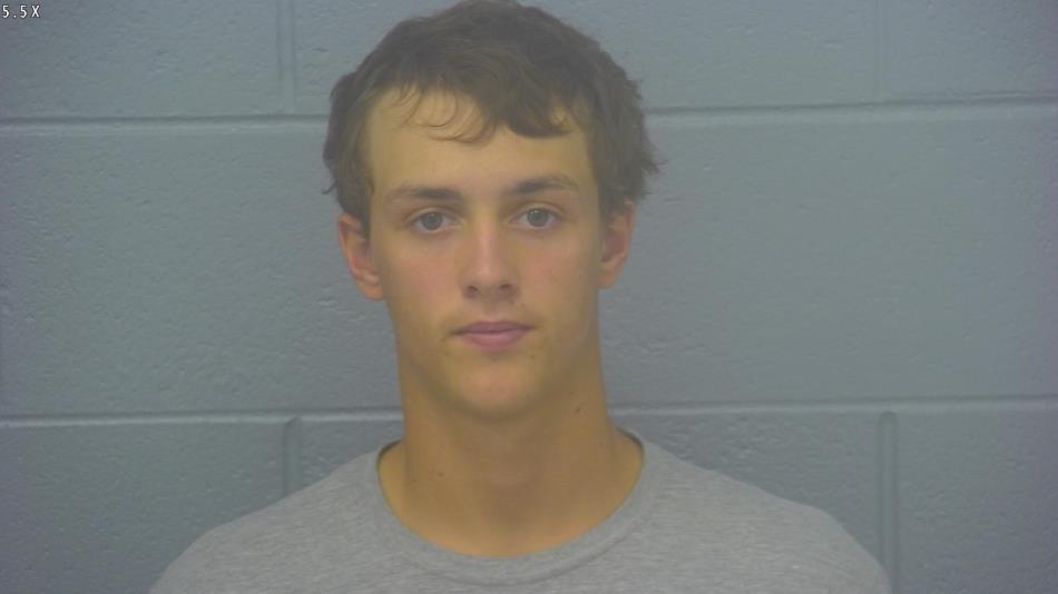 Arrest photo of BRETT NORRIS