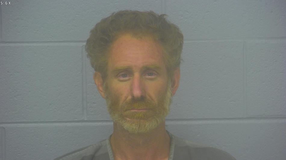 Arrest photo of BRETT BRADSHAW