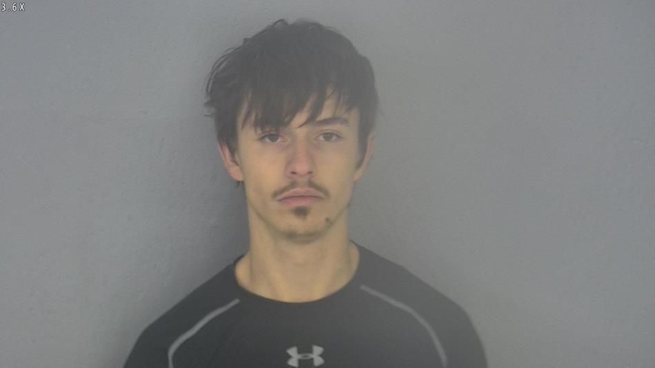 Arrest photo of BRETT LEWIS