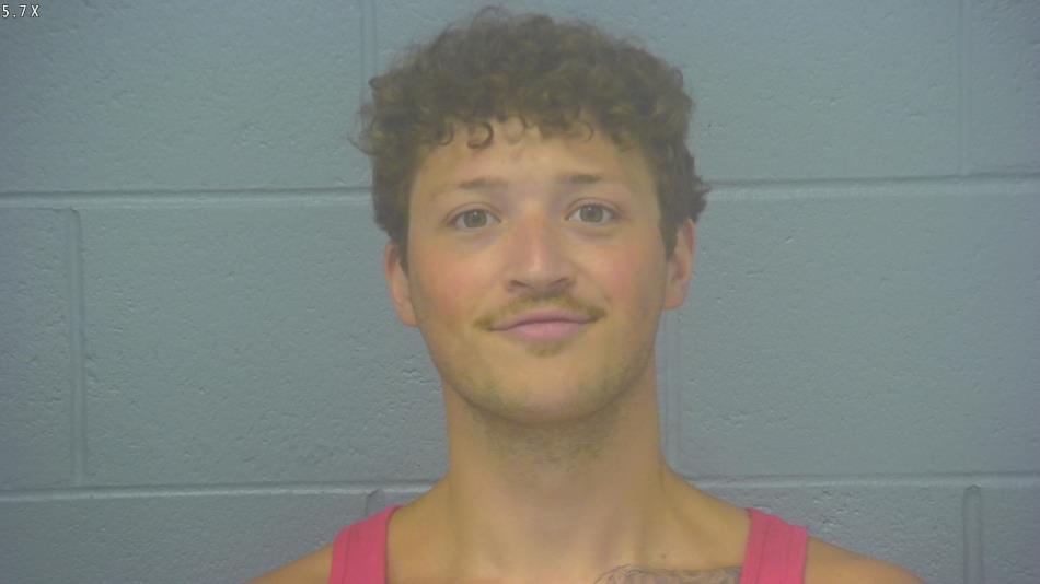 Arrest photo of BRETT ORSO