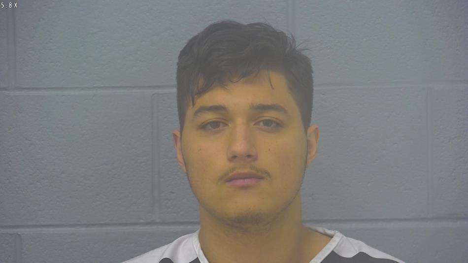 Arrest photo of BRIAN ALVARADO