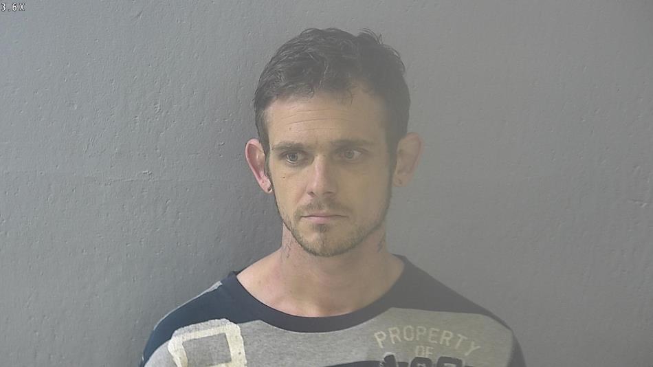 Arrest photo of BRIAN DEAVERS