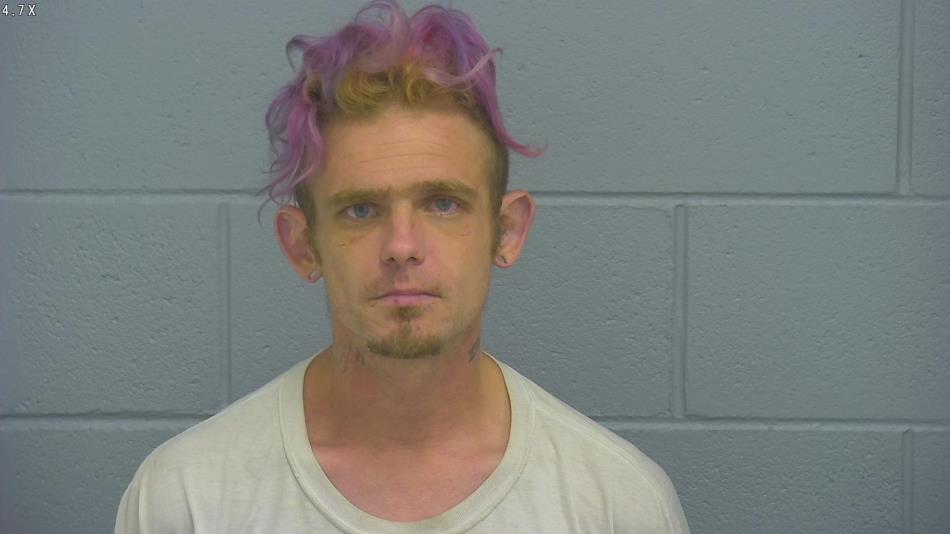 Arrest photo of BRIAN DEAVERS