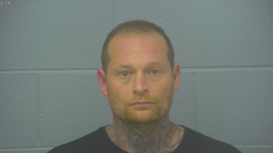 Arrest photo of BRIAN DAVIDSON