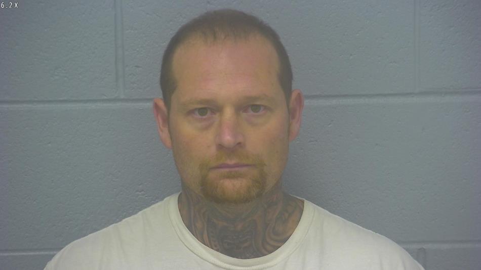 Arrest photo of BRIAN DAVIDSON