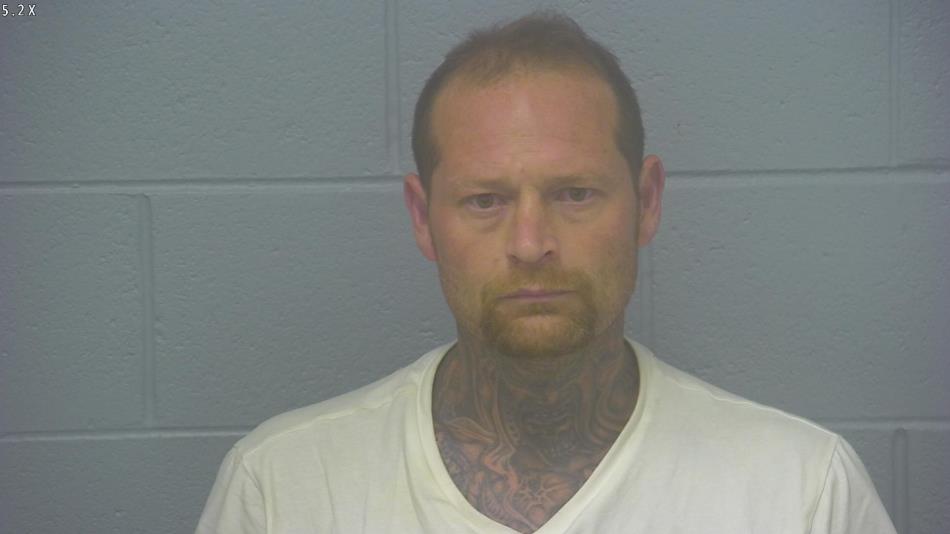 Arrest photo of BRIAN DAVIDSON