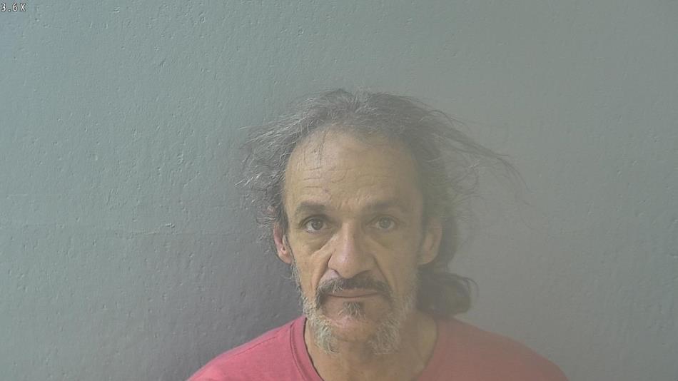 Arrest photo of BRIAN BURKS