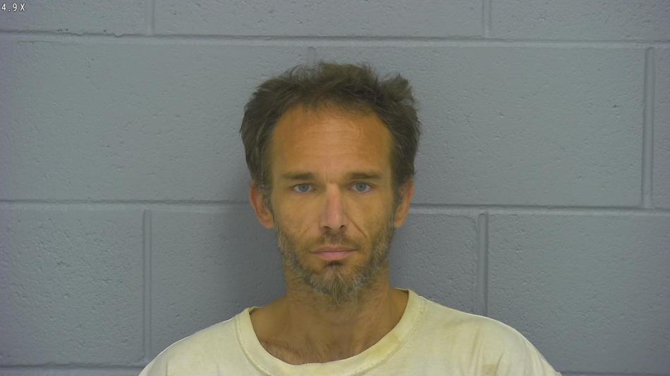 Arrest photo of BRIAN WEBB