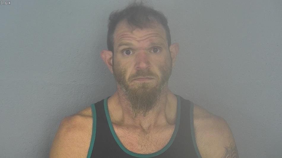 Arrest photo of BRIAN WILLIAMS