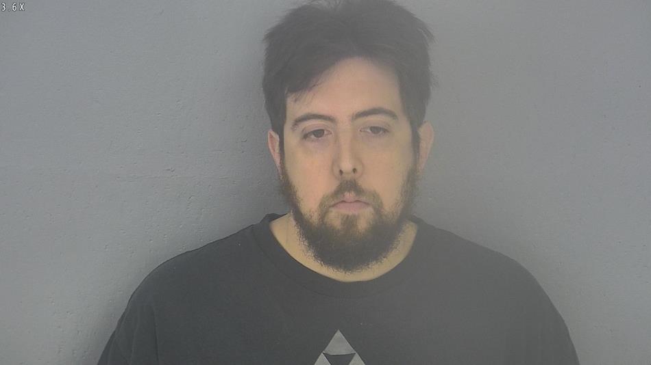 Arrest photo of BRIAN TAYLOR