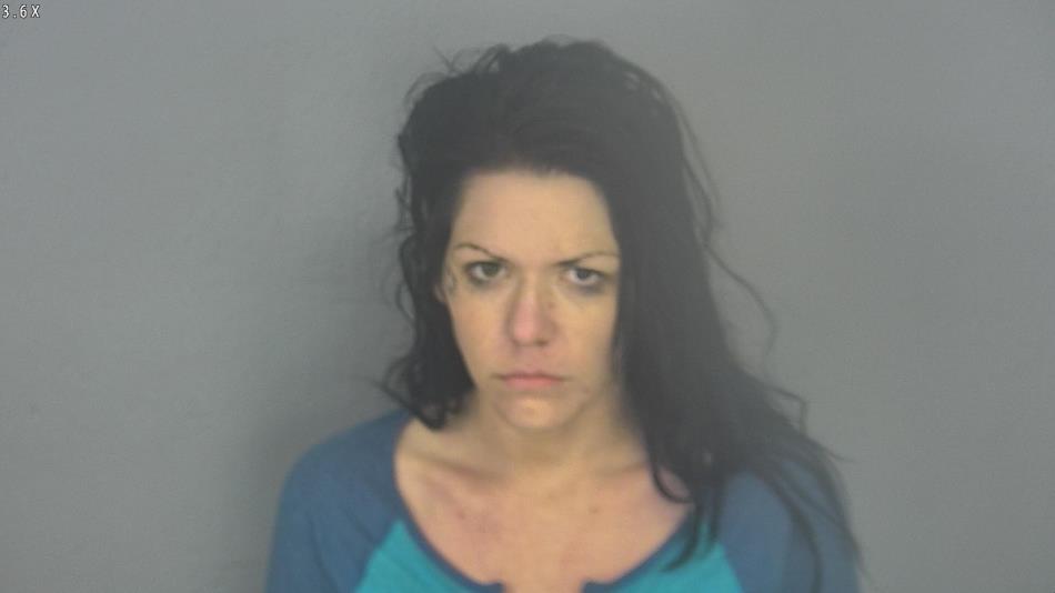 Arrest photo of BRIANA WEBB