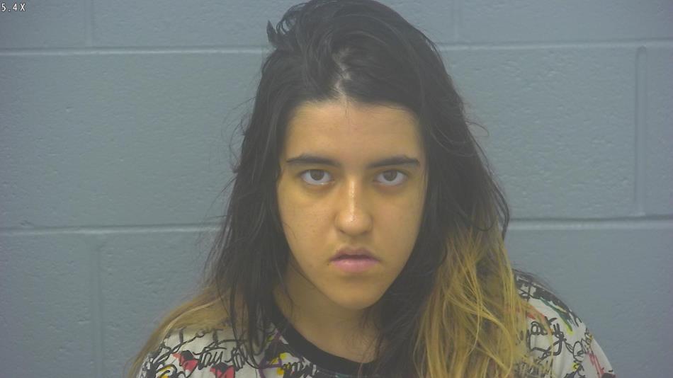 Arrest Photo of BRIANNA COLLINS, arrested on 4/11/2024