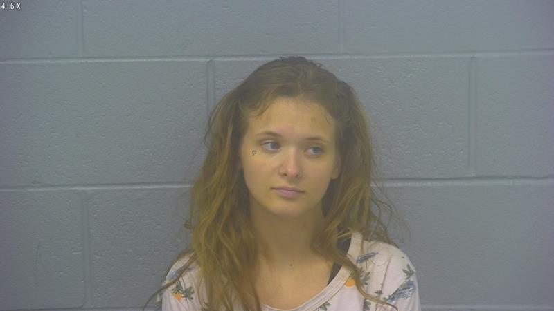Arrest Photo of BRIANNA HOWSER, arrested on 6/17/2025