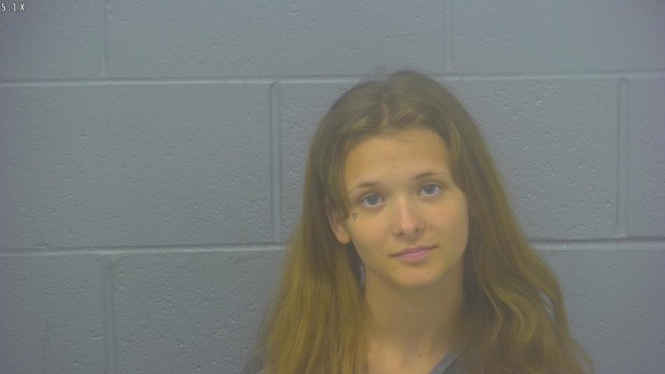 Arrest Photo of BRIANNA HOWSER, arrested on 6/24/2025