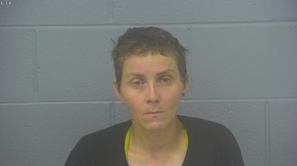 Arrest photo of BRIANNE REPPHUN