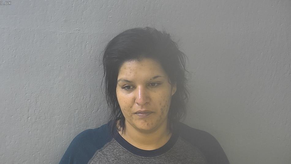 Arrest photo of BRIDGETTE AYALA