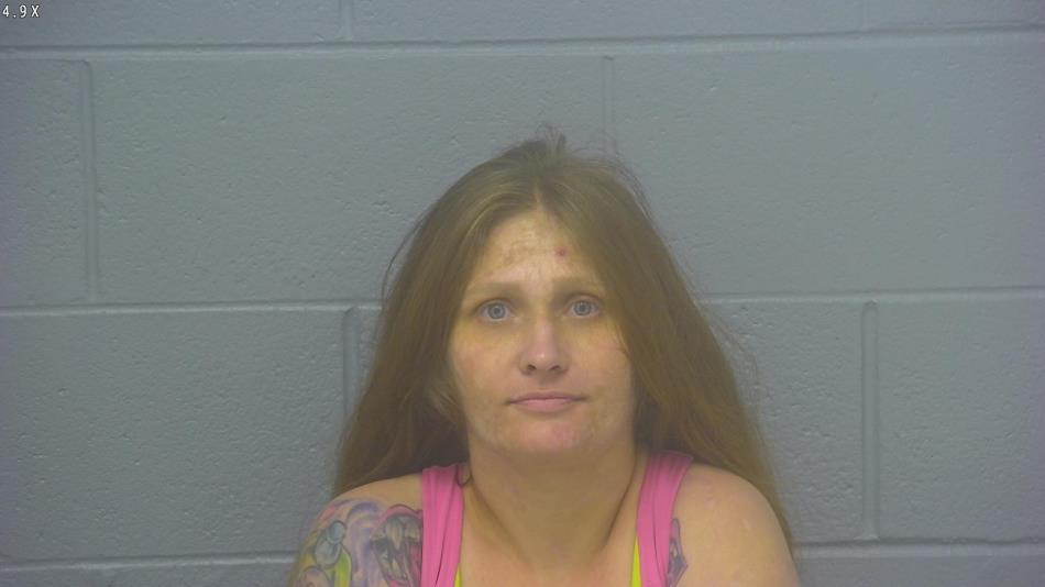 Arrest Photo of BRIEANNE HOLLIS, arrested on 4/18/2024