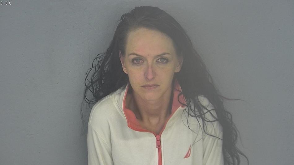 Arrest photo of BRITNEE MCMINN
