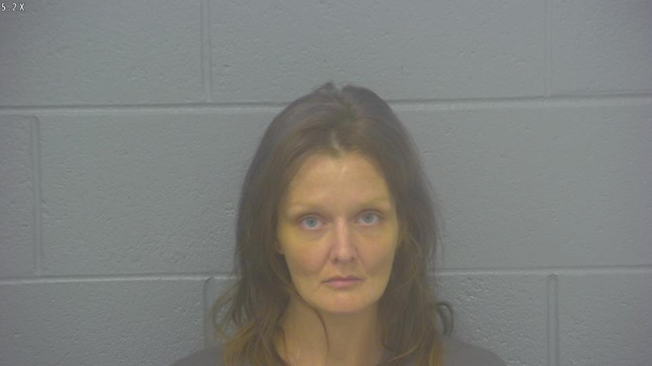 Arrest Photo of BRITNEY BROWN, arrested on 7/2/2024