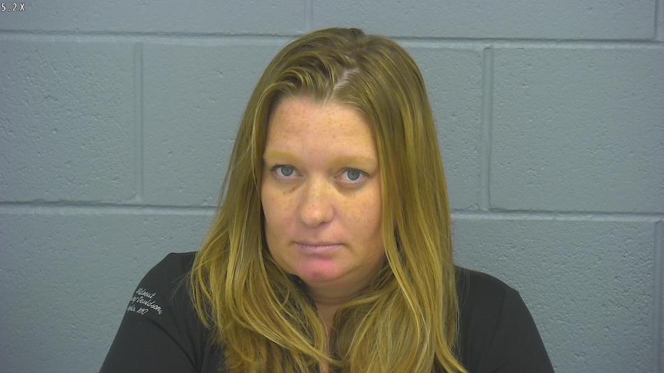 Arrest photo of BRITTANY MCLEAN